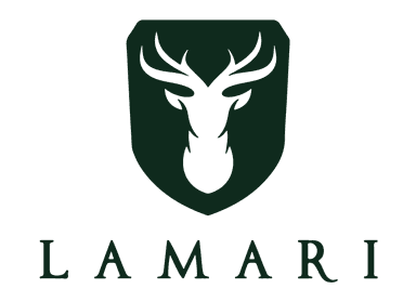 آرین‌موتور